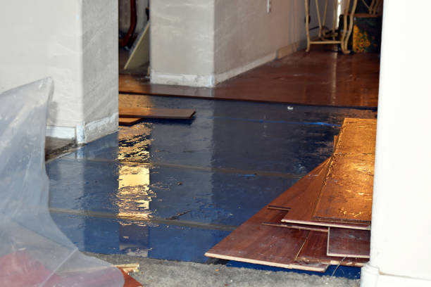 Professional Burst Pipe Cleanup technician working in Upton, MA